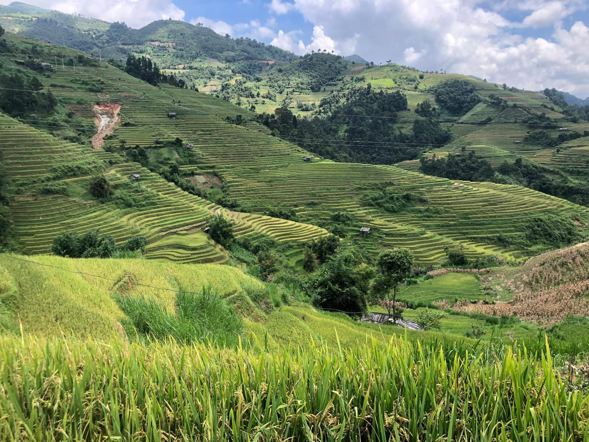 Do Gu Homestay Mu Cang Chai Exterior foto